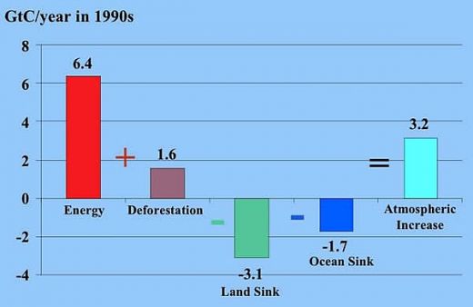 Major sources and sinks for carbon dioxide