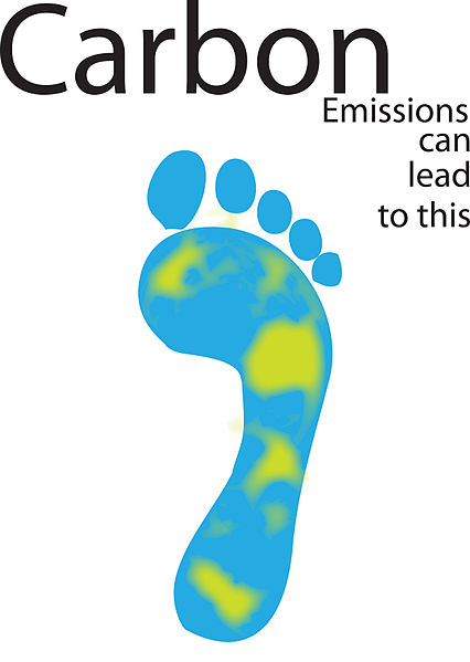 One impact of the carbon footprint is on sea level rise and inundation of low lying nations