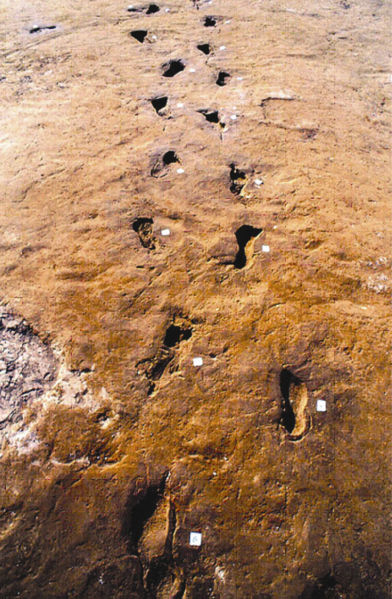 Ancient footprints of early man preserved in mud turned to stone.