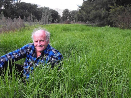 Aussie - Peter Andrews who developed Natural Sequence Farming