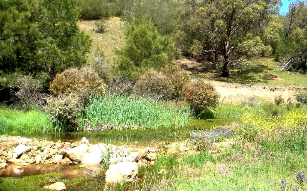 Leaky weirs 4 - keep water in the stream and water levels up