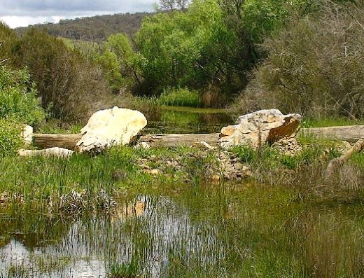 Leaky weirs 5 - keep water in the stream and water levels up