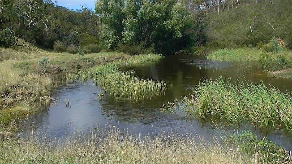 After leaky weir installed