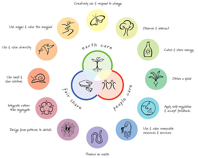 The principle of Permaculture - learn more in this article