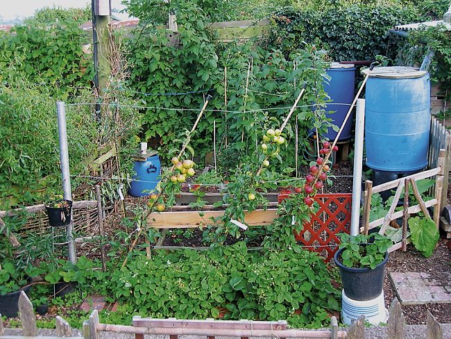 A lovely productive permaculture garden. Learn how to do it yourself in your garden
